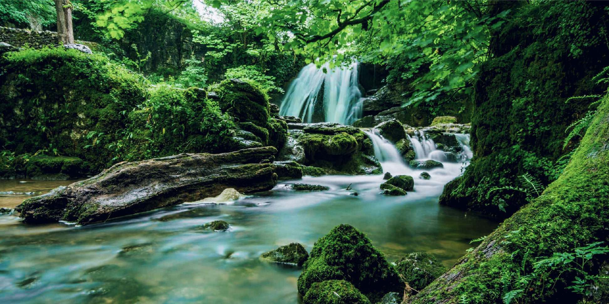 business-socken-burlington