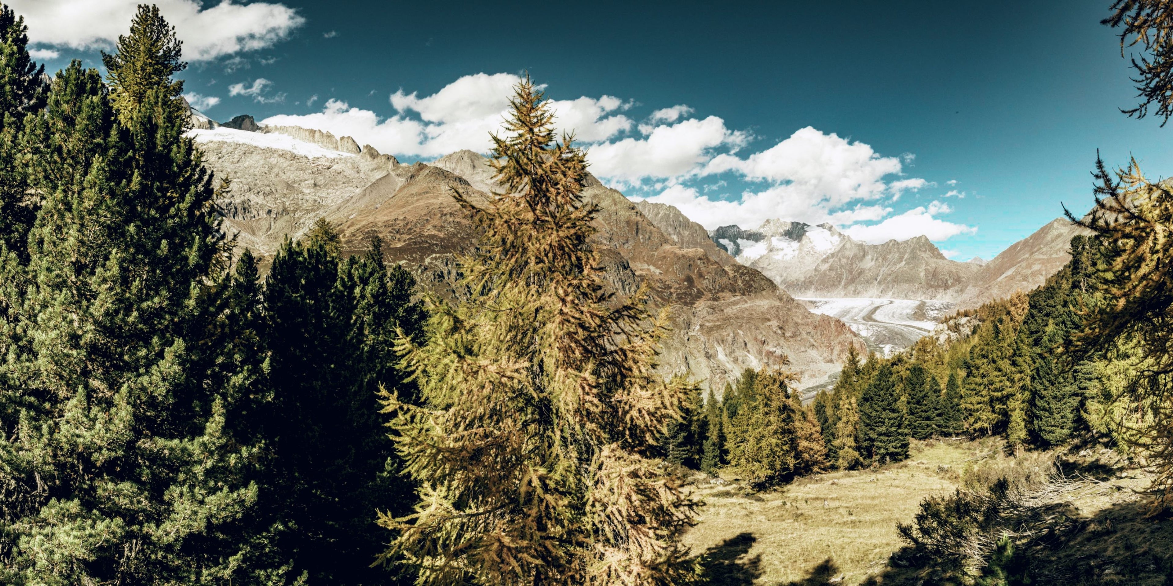 langarm-poloshirt-ad.m