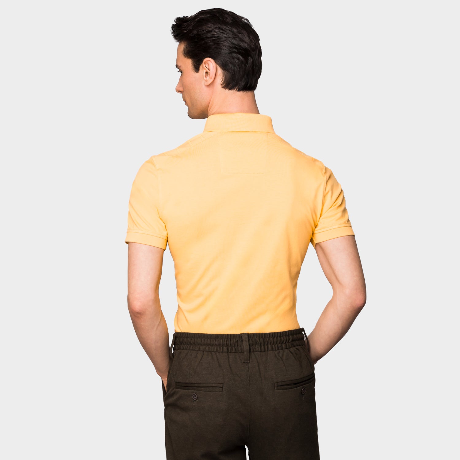 The Polo Light Original Three