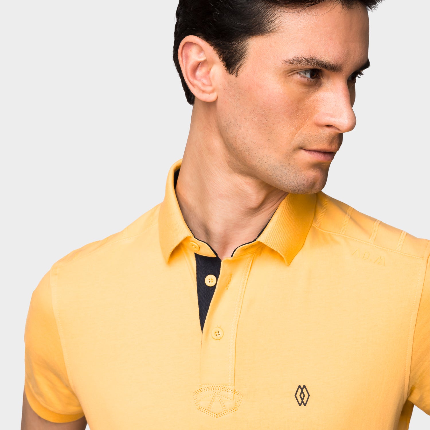 The Polo Light Original Three